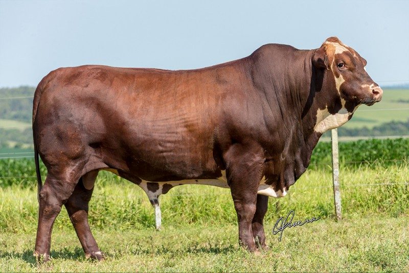 INDICE 3X  CATY 38S432