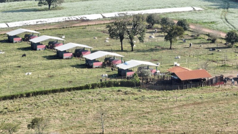 A Importância das Biotecnologias na Modernização da Pecuária Brasileira